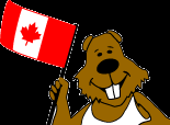 Smiling beaver holding Canadian flag